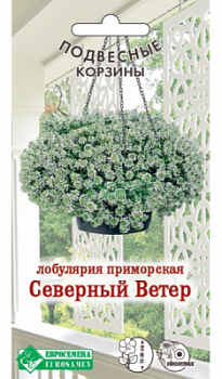 Лобулярия Северный Ветер