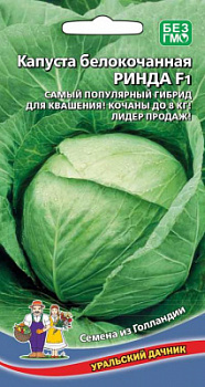kapusta-belokochannaya-rinda-f1