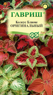 Колеус Оригинальный