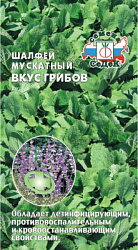 shalfey_muskatnyy_vkus_gribov
