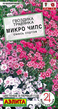 Гвоздика Микро чипс многолетняя