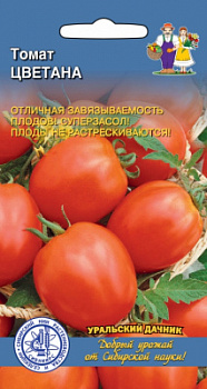 tomat-cvetana
