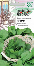 Горчица прима