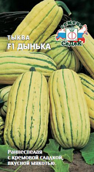 tykva_dynka_f1