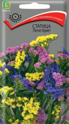 Статица Петит букет
