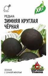Редька Зимняя круглая чёрная