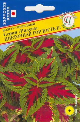 Колеус