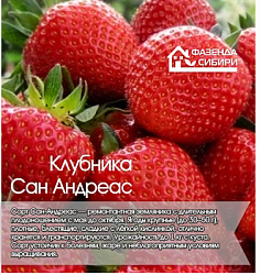 Сан Андреас