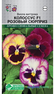 Виола Колоссус Розовый Сюрприз