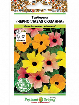 Тунбергия Черноглазая Сюзанна