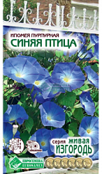 Ипомея Синяя Птица