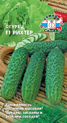 ogurets_rikhter_f1