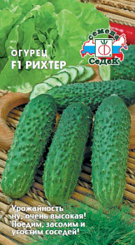 ogurets_rikhter_f1