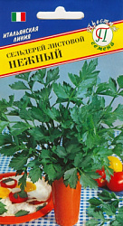Сельдерей нежный