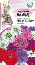 Рио