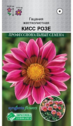 Гацания кисс розе