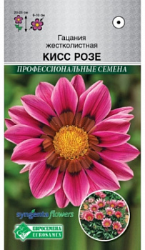 Гацания кисс розе