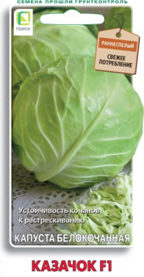 kapusta_belokoch_kazachok