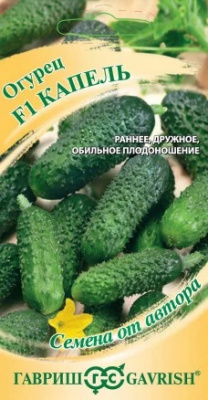 Капель