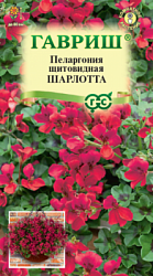 Пеларгония Шарлотта