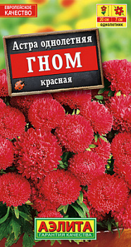 Астра Гном красная_ЦП