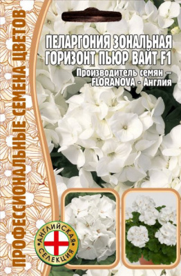 Пеларгония пьюр вайт