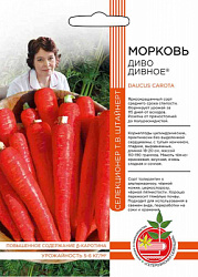 morkov-divo-divnoe