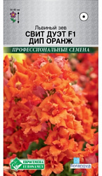 Львиный зев свит дуэт дип оранж