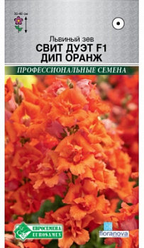 Львиный зев свит дуэт дип оранж