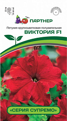 ЦБ-00000388_1