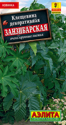 Клещевина занзибарская