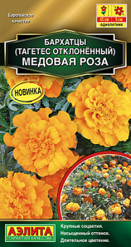 Бархатцы Медовая роза отклоненные_ЦП