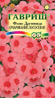 Флокс Очарование лососевое