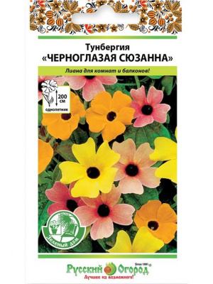 Тунбергия Черноглазая Сюзанна