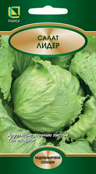 salat_lider_cv_pak