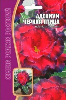 Черная птица