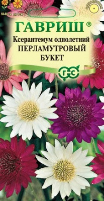 Ксерантемум Перламутровый букет