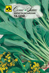 kapusta_kitajskaya_ta_coj