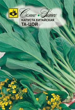kapusta_kitajskaya_ta_coj