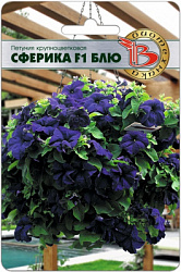 Петуния Сферика Блю