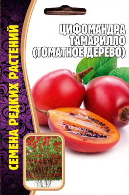 Цифомандра