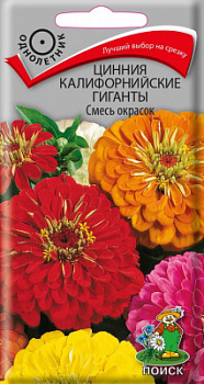 Цинния Калифорнийские Гиганты Смесь окрасок
