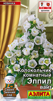 Колокольчик комнатный Эппил вайт