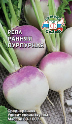 repa_rannyaya_purpurnaya