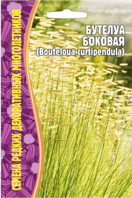 butelua-bokovaja(1)-750x750