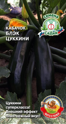 kabachok_blek_tsukkini