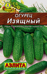 Огурец Изящный_Лидер