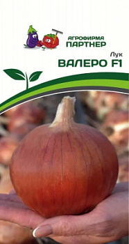 Лук валеро
