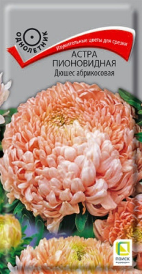 astra_pion_dushes_abrikosovaya