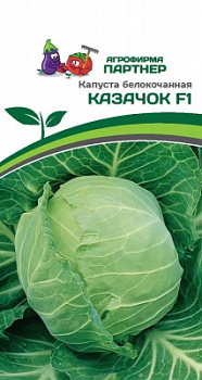 Капуста бк казачок